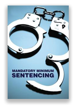 Mandatory Minimums The United States Sentencing Commission