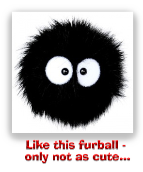 furball210308